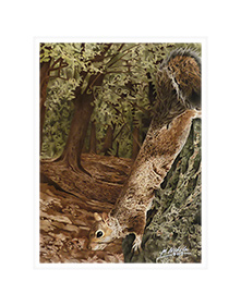 'Busy Schedule' (Gray Squirrel).